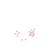 thread-lift